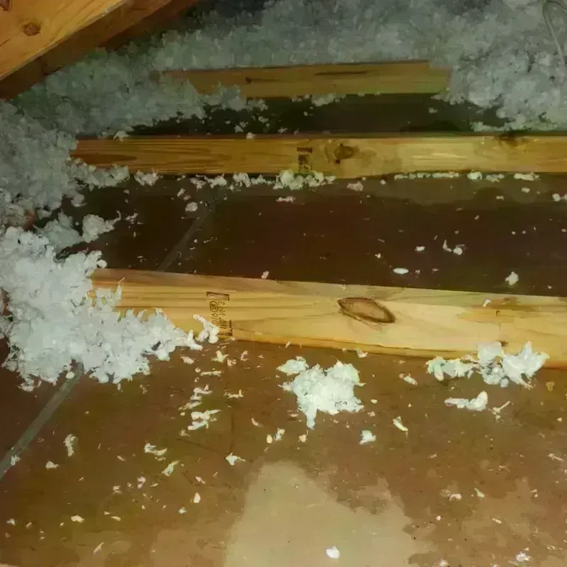 Attic Water Damage in Pasco, WA