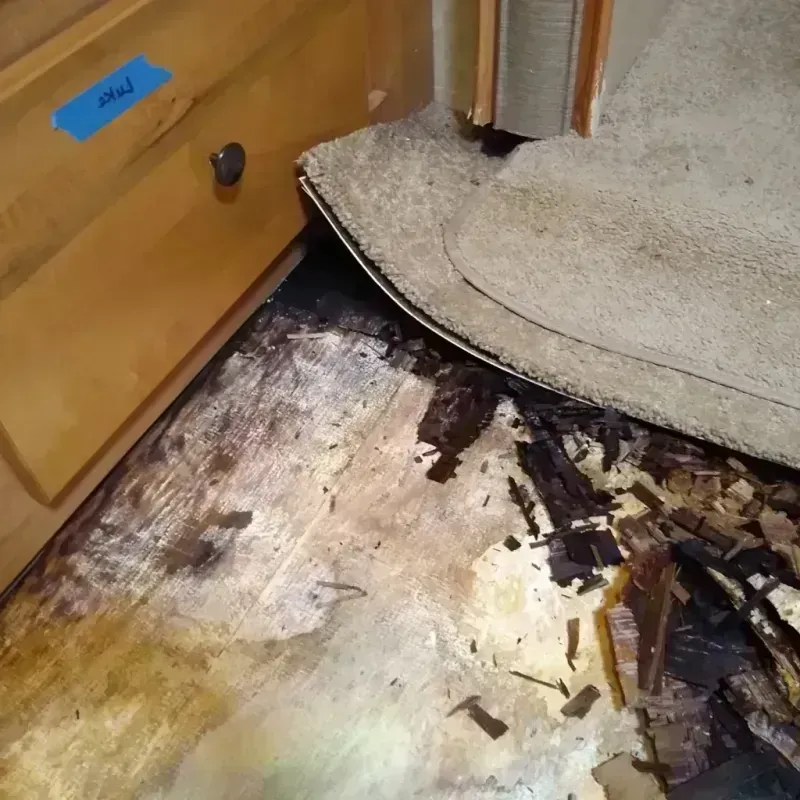 Wood Floor Water Damage in Pasco, WA